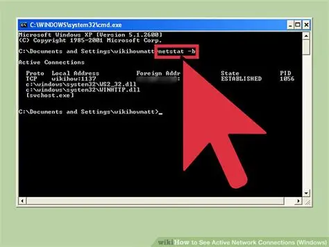 netstat command